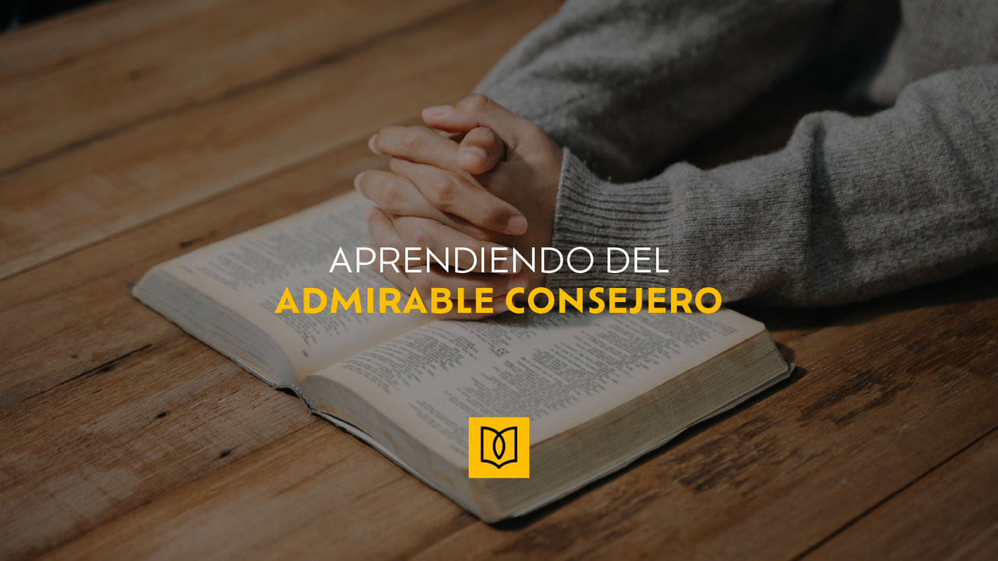 Aprendiendo del admirable consejero