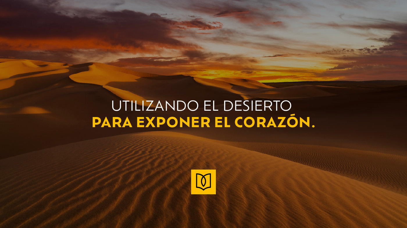 Utilizando el desierto para exponer el corazón.