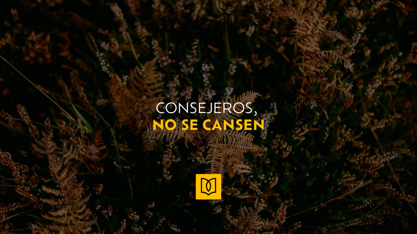 Consejeros, No se Cansen